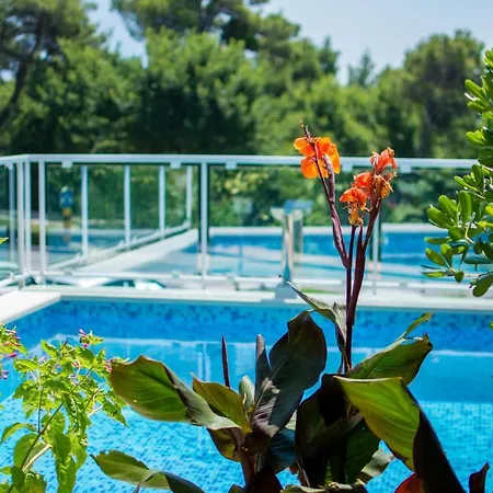 With A Swimming Pool Mlini, Dubrovnik - 9009