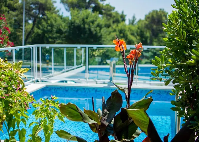 With A Swimming Pool Mlini, Dubrovnik - 9009